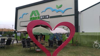 美雅家具觀光工廠 一場融合工藝與休閑的獨特體驗之旅