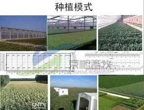 京鵬環(huán)宇畜牧薛志友 打造休閑觀光生態(tài)牧場，從“養(yǎng)好牛”到“享生活”的質(zhì)變之路