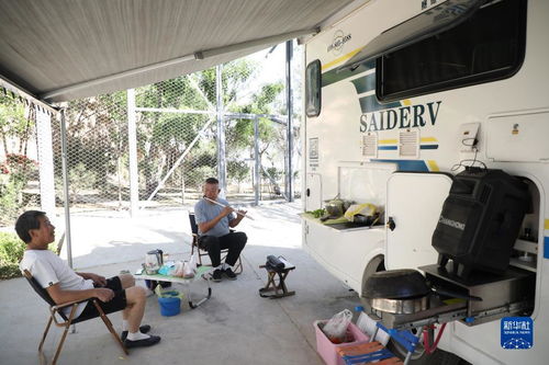 黃土坡上的綠色蝶變 生態(tài)振興激活鄉(xiāng)村休閑觀光新動能