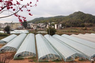 贛州開發區黨務公開網 蟠龍鎮述職評議強監督，綠色工廠添新彩，省外休閑促交流