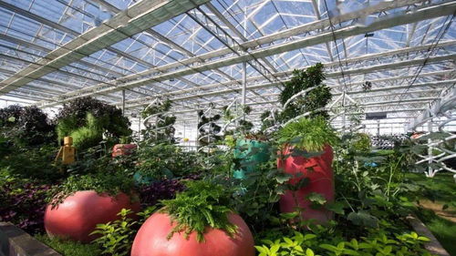 觀光休閑農業的發展趨勢 休閑觀光活動的創新與實踐